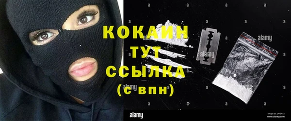метадон Ельня