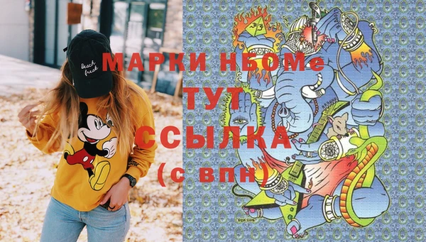 соль ск Елизово