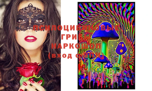 прущая мука Елабуга