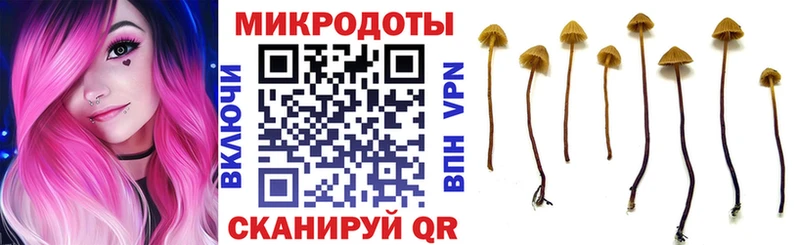 Купить  Бирск  Галлюциногенные грибы Psilocybine cubensis 